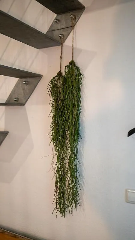 Boxi Jungle House - Unique In Friedrichshain - 3Br Berlín
